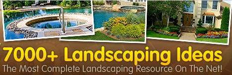 landscaping ideas for pools, spas and backyards